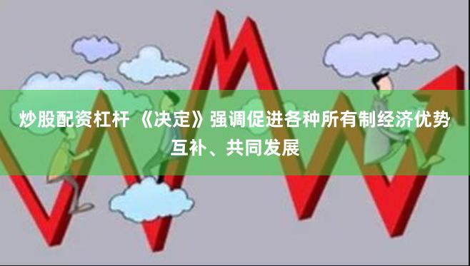炒股配资杠杆 《决定》强调促进各种所有制经济优势互补、共同发展