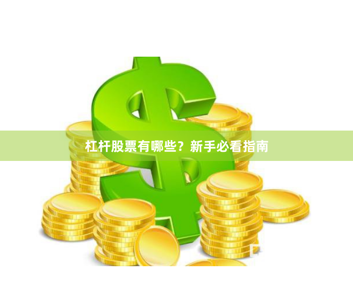 杠杆股票有哪些？新手必看指南